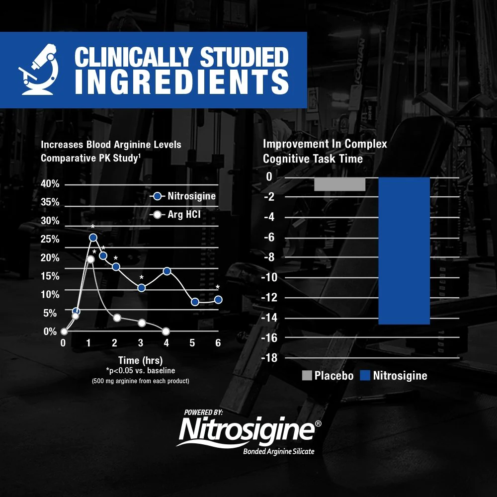 Muscle Science Ignitor