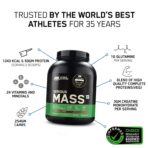 on-serious-mass-gainer04
